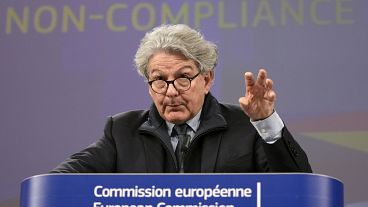 European Commissioner for Internal Market Thierry Breton addresses a media conference.