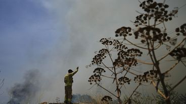رجل إطفاء يحاول إخماد النيران التي اندلعت في شمال إسرائيل جراء قصف حزب الله للمنطقة