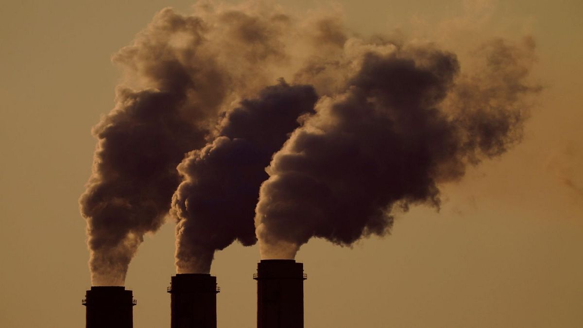 Study finds air pollution reduces IVF success