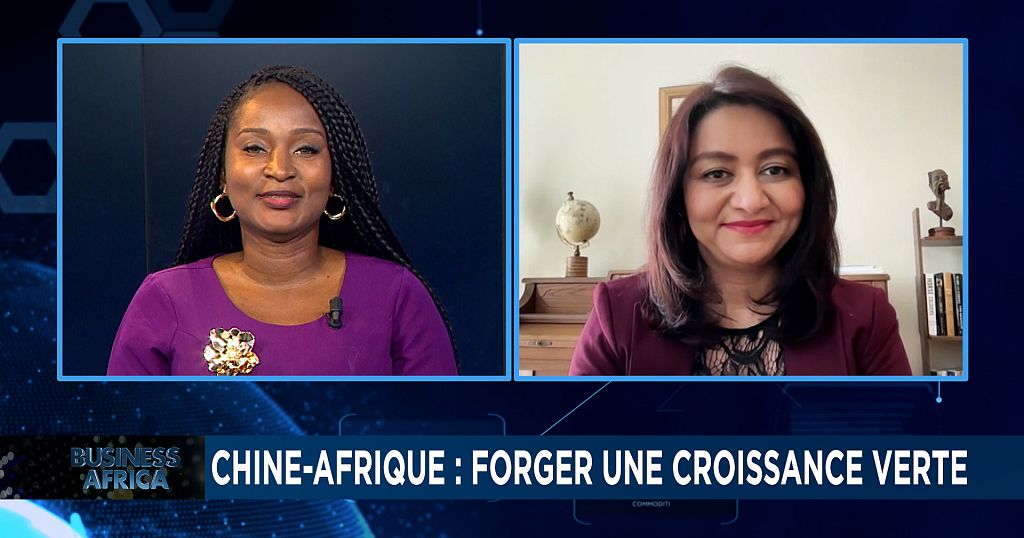 La Chine et l'Afrique explorent de nouvelles coopérations [Business Africa]