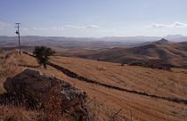 Sequías, desertización, olas de calor: La crisis climática golpea con fuerza a Sicilia