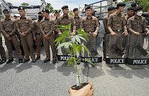 Police stand guard as cannabis activists and entrepreneurs, holding cannabis plant gather in front of Government House in Bangkok