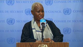 Head of UN force in the DRC “extremely concerned about  expansion of M23” rebels