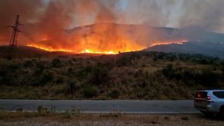 İtfaiye ekipleri 9 Temmuz 2024 Salı günü Arnavutluk'un Dropull bölgesinde çıkan büyük yangına müdahale ediyor.