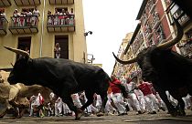 People test their speed and bravery by dashing with six fighting bulls through the streets of the northern Spanish city of Pamplona.