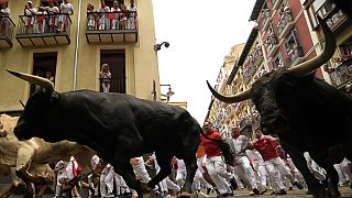 People test their speed and bravery by dashing with six fighting bulls through the streets of the northern Spanish city of Pamplona.