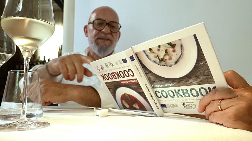 A European jellyfish cookbook published by the GoJelly project