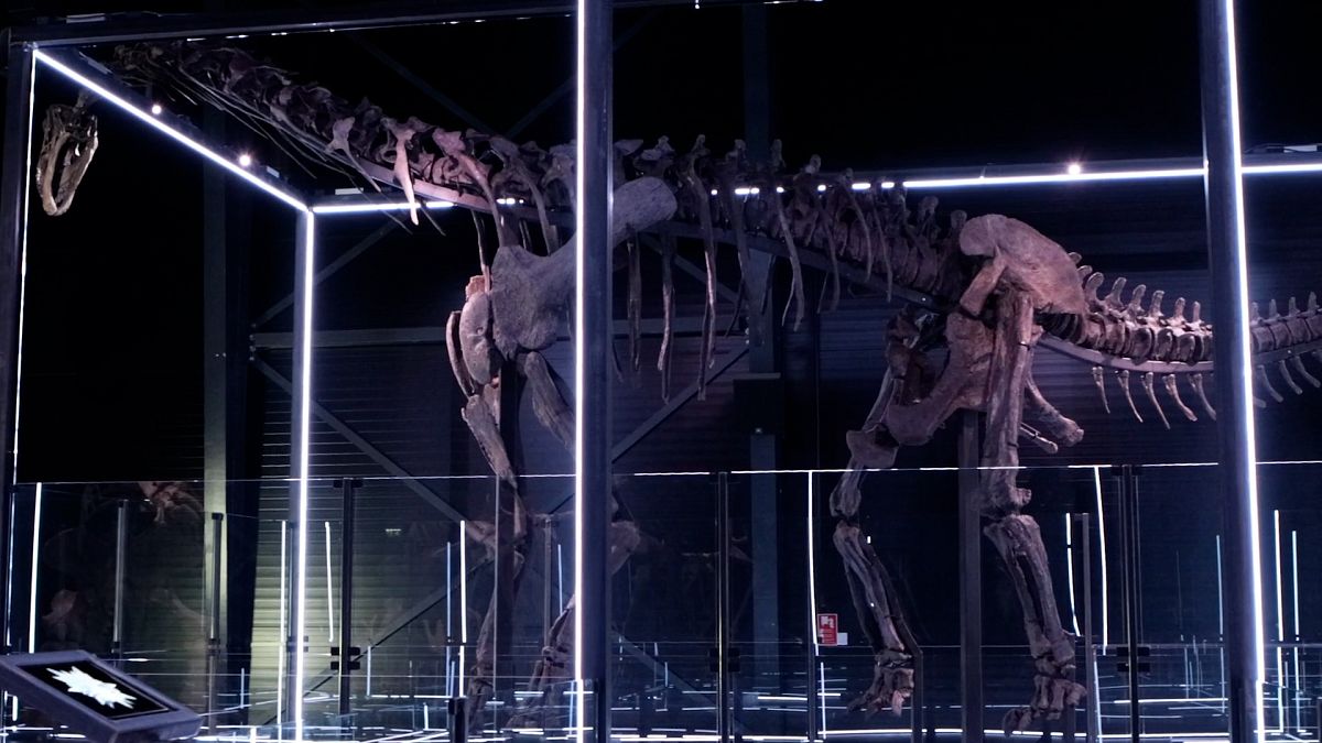 Dinosaur on display at Museum of Evolution in Denmark