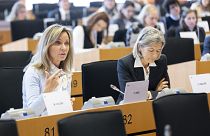 Az Európai Parlament Környezetvédelmi, Közegészségügyi és Élelmiszer-biztonsági Bizottsága