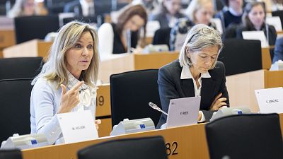 Comisión de Medio Ambiente, Salud Pública y Seguridad Alimentaria del Parlamento Europeo