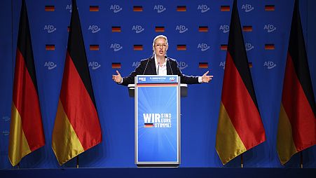 The MEPs from AfD are non attached after being expelled from Identity and Democracy.