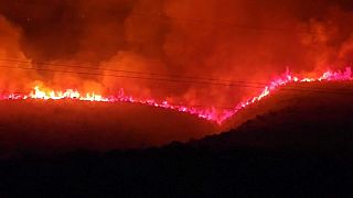 Μεγάλη δασική πυρκαγιά στην Αλβανία