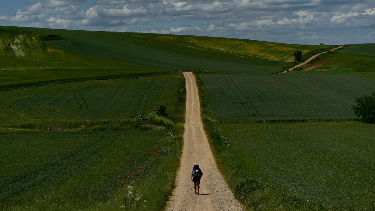  En 2023, casi medio millón de personas recorrieron el Camino de Santiago en España. Alrededor del 40% lo hizo por motivos puramente religiosos. 