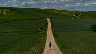  Το 2023, σχεδόν μισό εκατομμύριο άνθρωποι περπάτησαν το Camino de Santiago στην Ισπανία