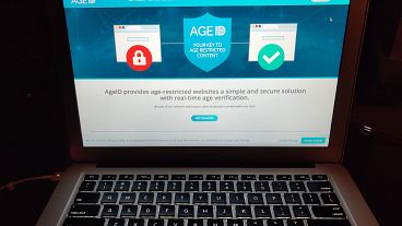 A screen displaying the website for AgeID, an age verification system for the British government’s planned online “porn block".