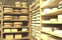 In Francia si producono almeno 1200 tipi diversi di formaggio