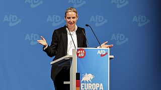 The far-right Alternative for Germany (AfD) party is suspected of extremism.