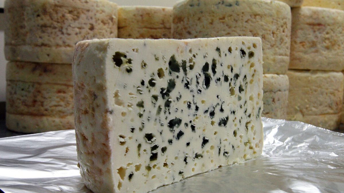 Roquefort cheeses from Carles factory in Roquefort, southwestern France