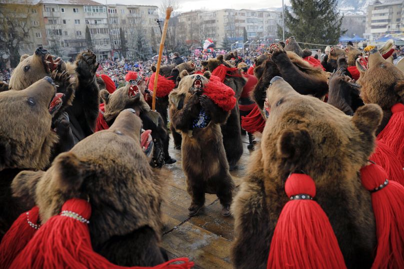 Romanians celebrate brown bears as well as fear them. Romanians wearing bear fur, dancing during the annual bear ritual gathering in Comanesti, Romania, Friday, Dec. 30, 2016.