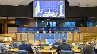 Η υποεπιτροπή του Ευρωπαϊκού Κοινοβουλίου για την ασφάλεια και την άμυνα (SEDE)