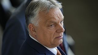 La Commission européenne a annoncé qu'elle boycotterait les événements majeurs de la présidence hongroise. 