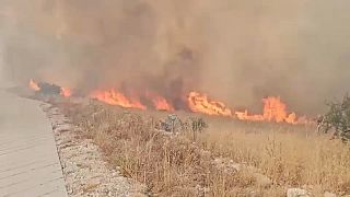 Captura de pantalla de los incendios forestales en Albania.