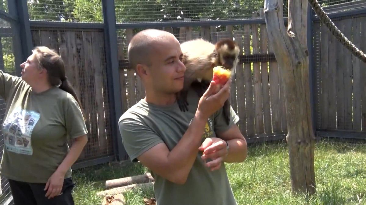 Les animaux du zoo de Sofia se rafraîchissent avec des glaces (été 2024). 