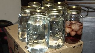 ABD'nin Kentucky eyaletinde yakalanan, ülkede "Moonshine" adıyla bilinen kaçak içkiler (Arşiv)