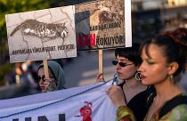 Pro animal rights activists carry signs during a protest in Istanbul, Turkey, 24 May 2024.