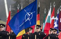 Drapeau de l'OTAN et drapeaux des pays membres flanqués lors d'un défilé militaire