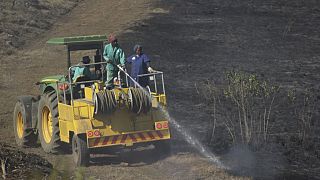Afrique du Sud : 6 pompiers morts en combattant un feu de brousse