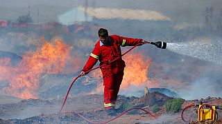 6 firefighters have died battling a bushfire in South Africa