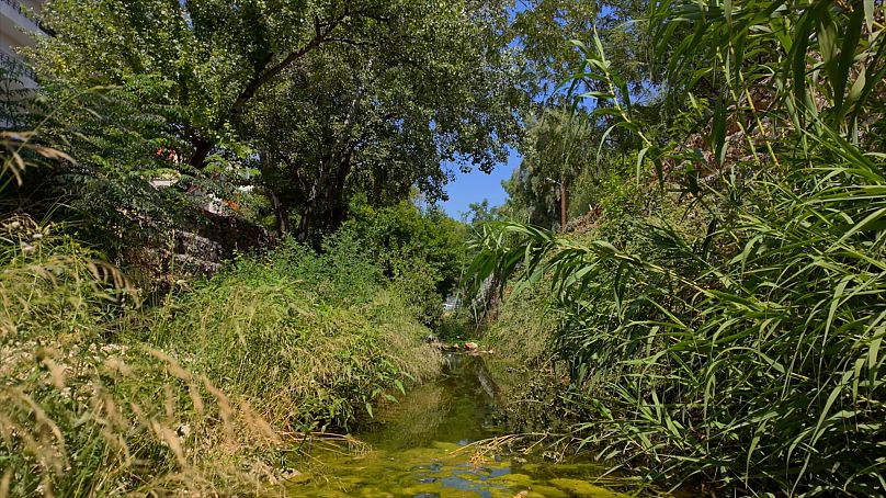 La renovación del acueducto de Adriano pretende crear más espacios verdes en Atenas y reducir las temperaturas extremas