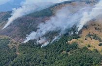 Les incendies en Albanie se déplacent vers le nord et font rage pour la troisième semaine