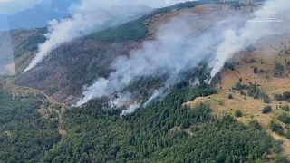 Les incendies en Albanie se déplacent vers le nord et font rage pour la troisième semaine