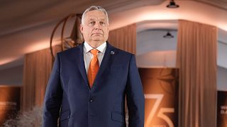 Macaristan Başbakanı Viktor Orban, Washington.
