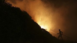Auf dem Balkan bekämpfen Feuerwehrleute großflächige Waldbrände.