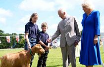El rey Carlos III de Gran Bretaña, en el centro a la derecha, y la reina Camilla, a la derecha, observan una rara cabra dorada de Guernsey, en Saint Peter Port, Guernsey, el martes 16 de julio de 2024.
