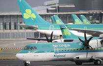 Aer Lingus planes (file photo)