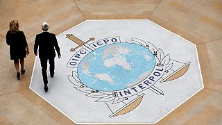 Afrique de l'Ouest : Interpol arrête 300 personnes liées au crime organisé