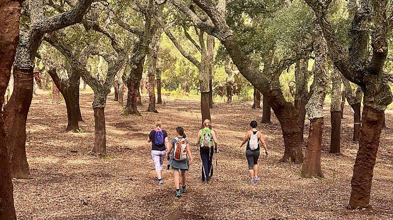 Las escapadas rurales de los nómadas digitales acercan a los trabajadores a distancia a la naturaleza.