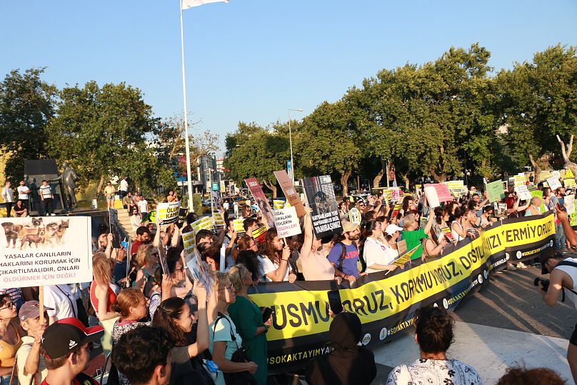 Göstericiler, Hayvanları Koruma Kanunu'nda değişiklik yapılmasına ilişkin teklifi Kadıköy'de protesto etti. / 17 Temmuz 2024