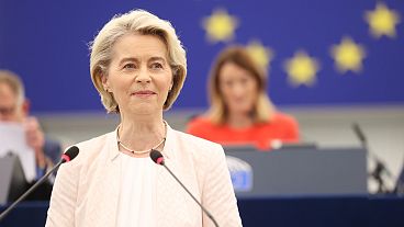 Ursula von der Leyen ha chiesto agli eurodeputati di appoggiare la sua candidatura alla rielezione.
