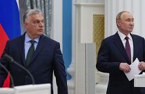 Orbán Viktor Moszkvában, Vlagyimir Putyin orosz elnök mellett