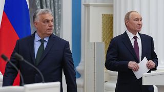 Orbán Viktor Moszkvában, Vlagyimir Putyin orosz elnök mellett