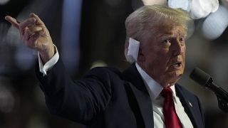Republicans praise Donald Trump as he accepts presidential nomination