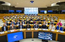 جلسه کمیته فرهنگ و آموزش پارلمان اتحادیه اروپا در تاریخ ۲۴ ژانویه ۲۰۲۴