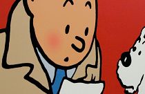 Tintin with pin-ups and beer? French artist condemned for parodying Hergé 