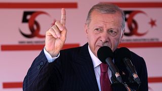 Cumhurbaşkanı Recep Tayyip Erdoğan, Kuzey Kıbrıs Türk Cumhuriyeti'nin (KKTC) ulusal bir gün olarak kabul ettiği 20 Temmuz Barış ve Özgürlük Bayramı kutlamalarına katıldı.