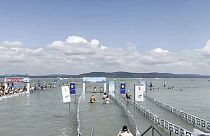 Nuotatori alla traversata del lago Balaton